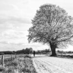 Anxiety – The Only True Friend
